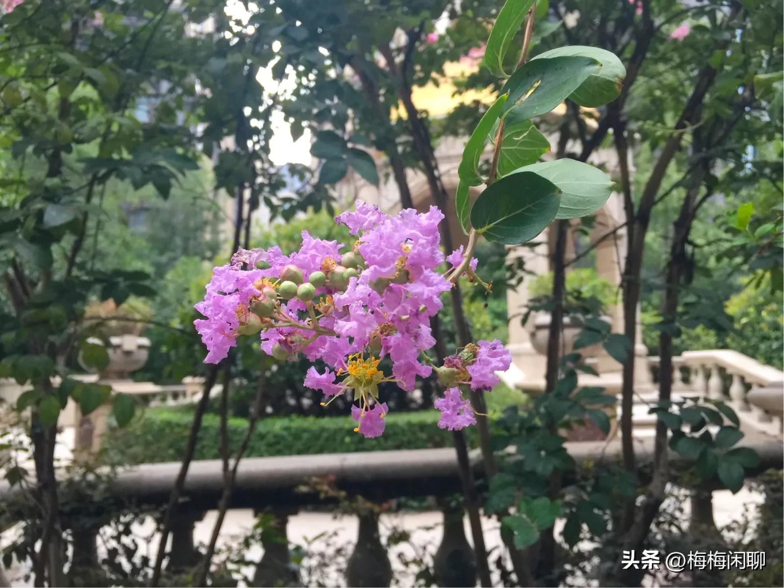 厦门市湖里核酸亭怎么样