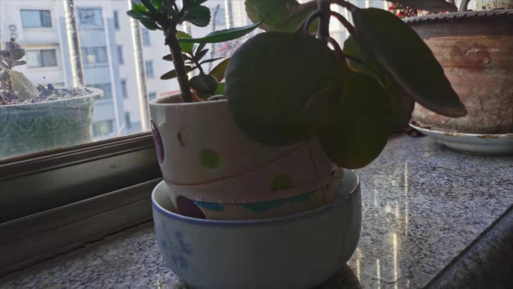 在家里你最喜欢做的事情是什么？：家里的