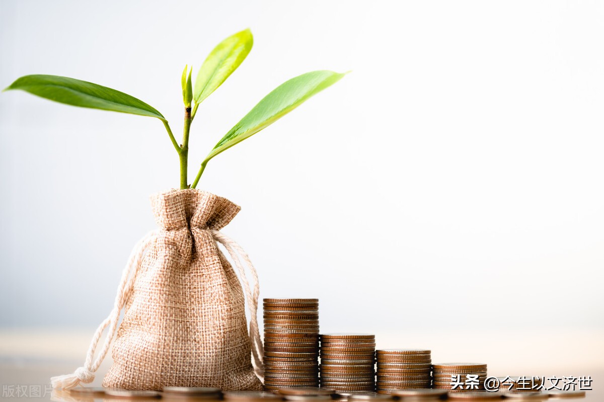 什么最挣钱什么最挣钱最快不需要本