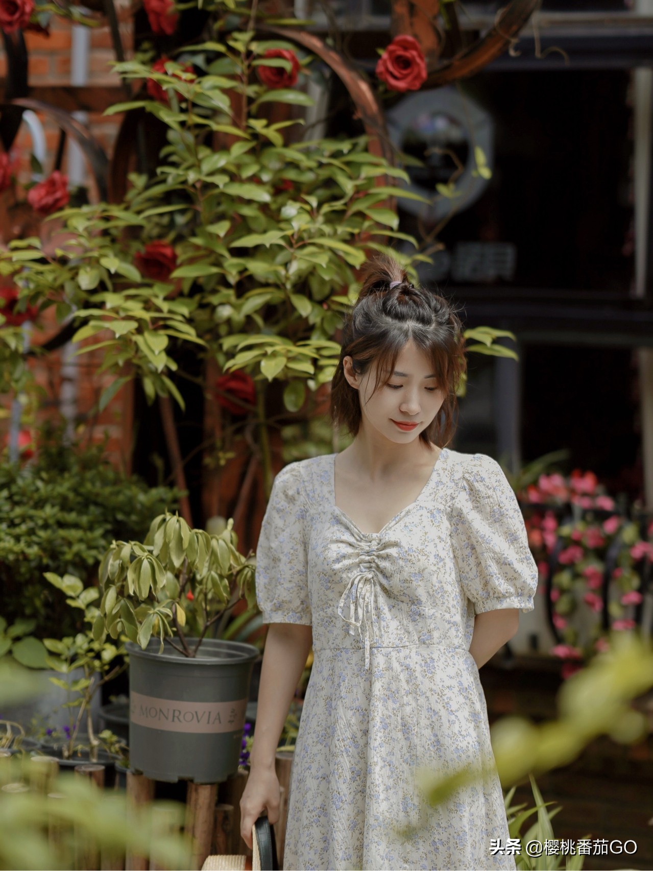带你种草宫廷美妆好物
