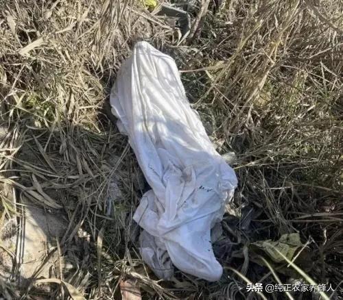 [嫖娼前猝死索赔131万]嫖娼者猝死，被嫖者用不用负法律责任，算不算过失杀人？
