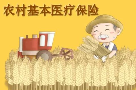 2022年农村合作医疗保险交多少钱，2022年农村合作医疗保险交多少钱一个月