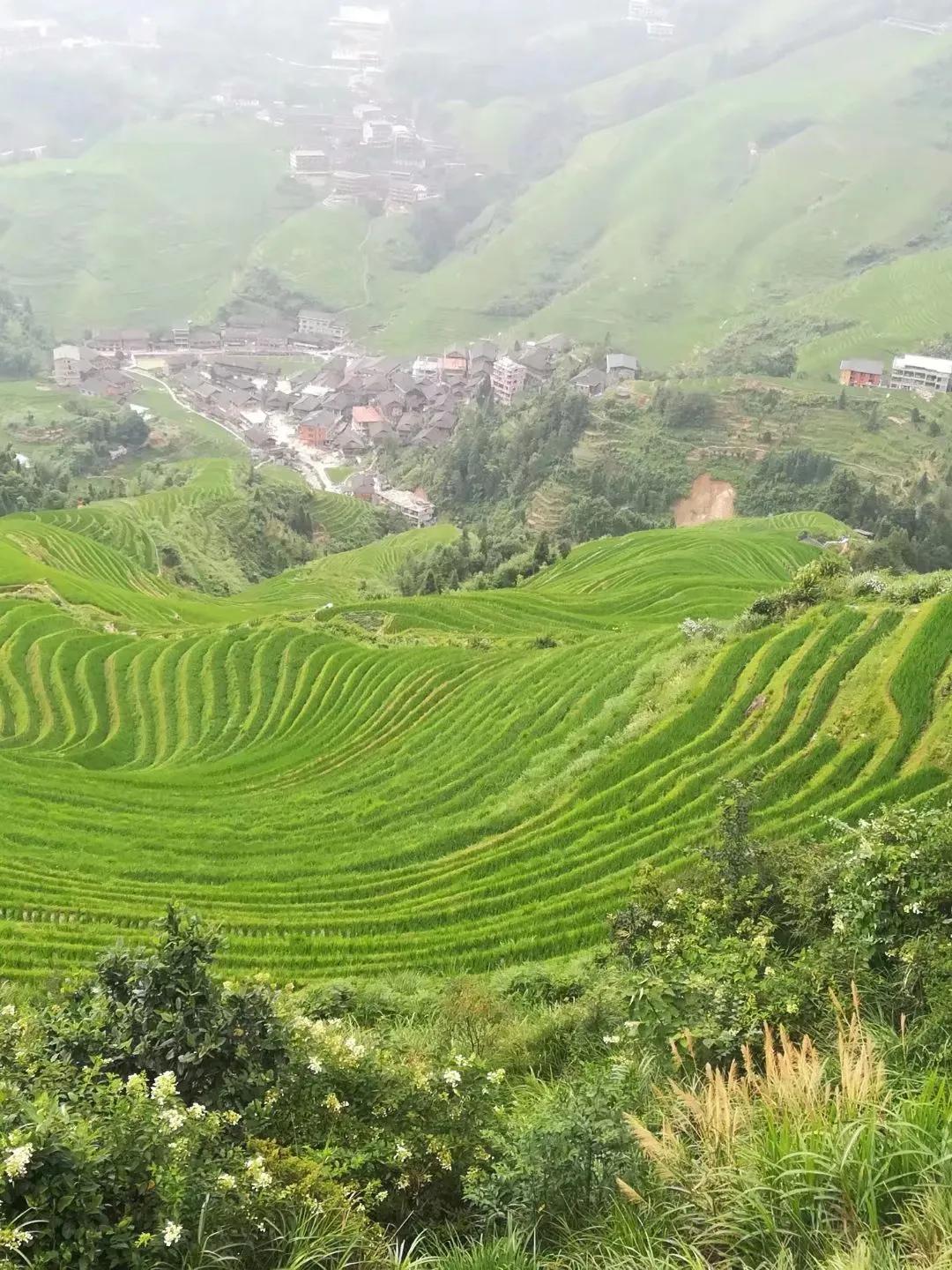 去桂林如何玩？