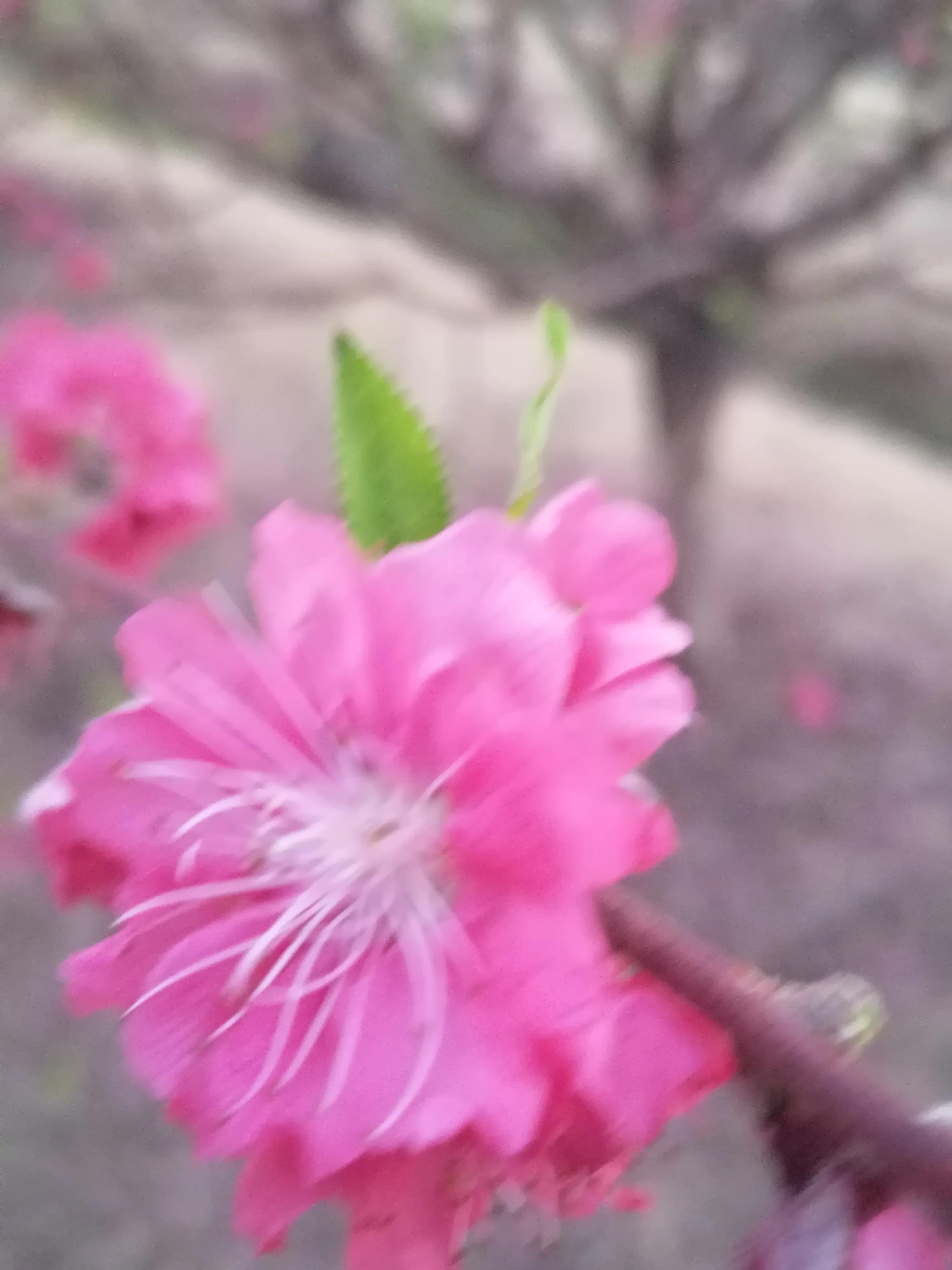 广州市这几天有什么活动
