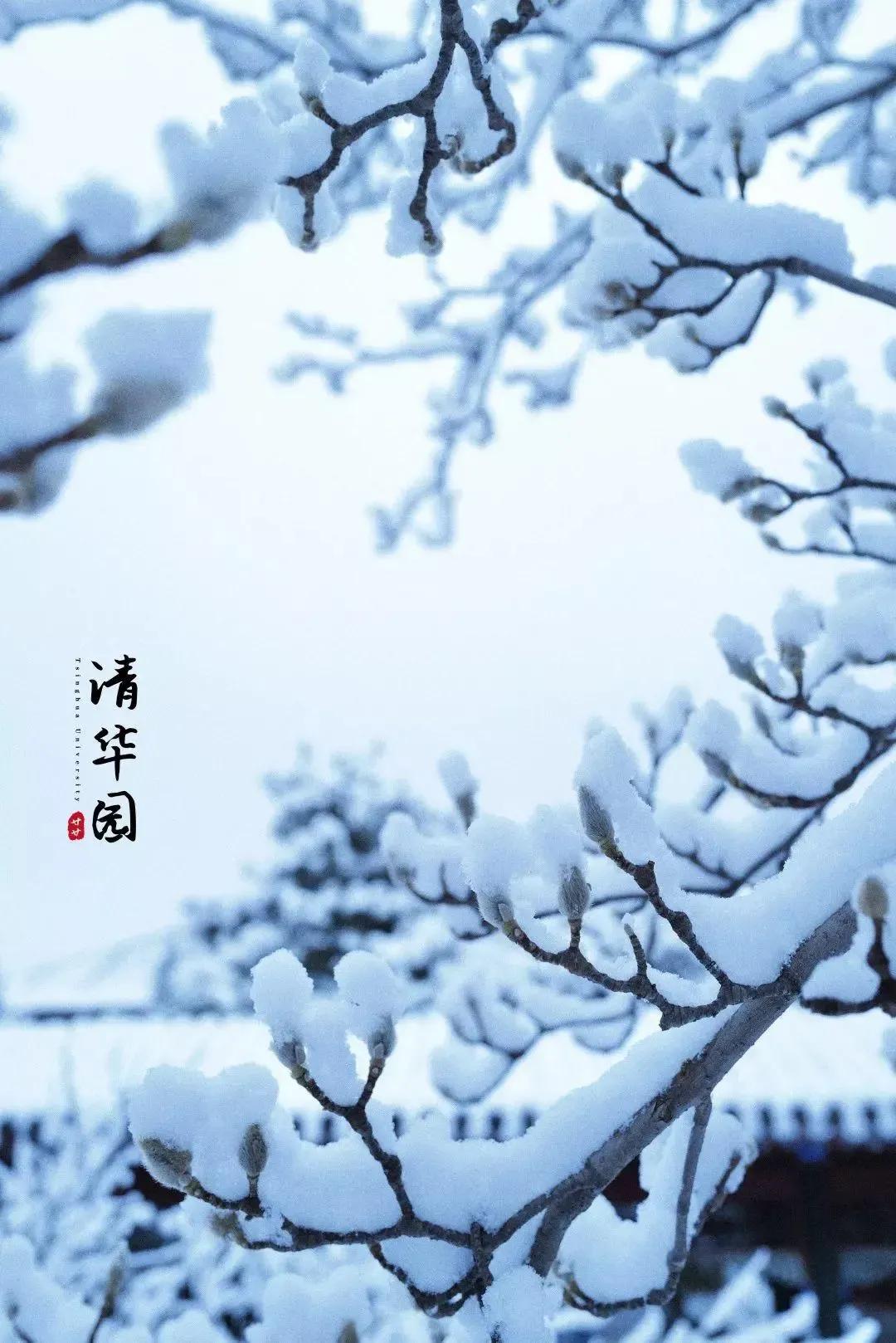 大连市中山区九中学校怎么样