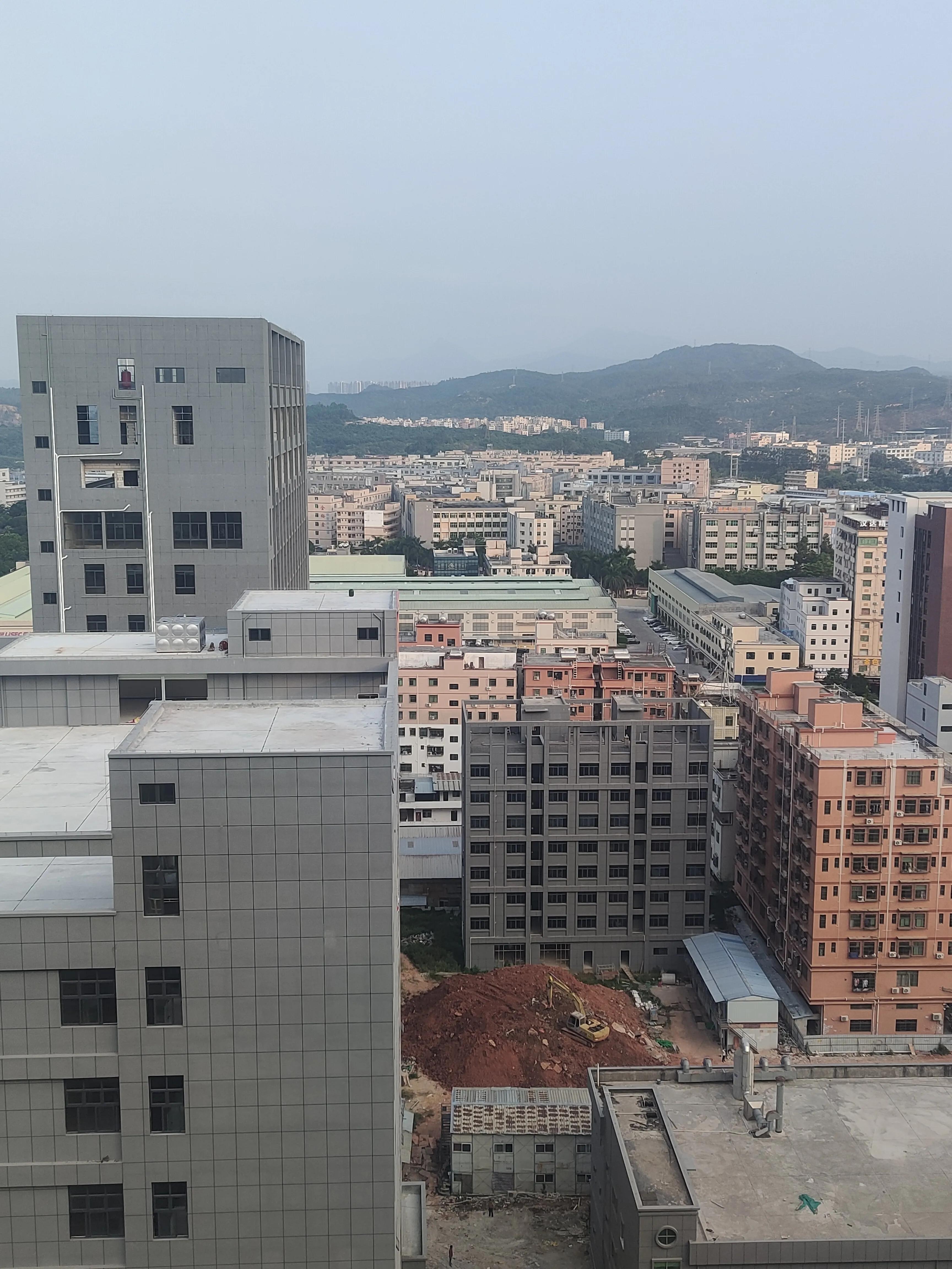 真我(真我品牌优缺点?) 真我(真我品牌优缺点?)