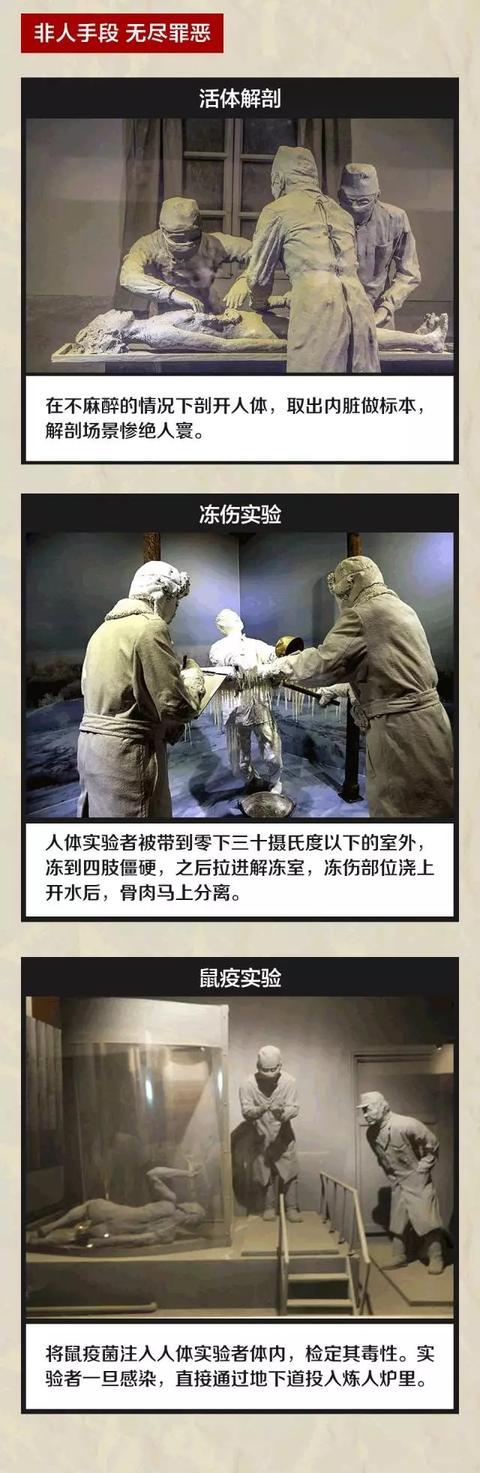 电影731破10项纪录记录731部队电影