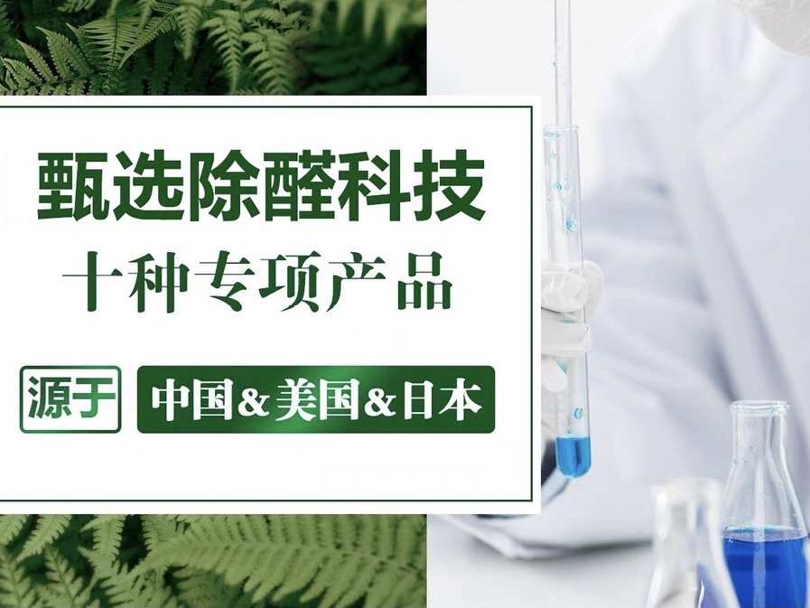 合肥市去甲醛哪个好