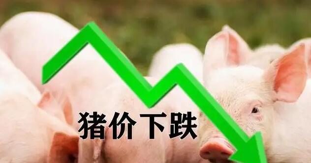 猪价跌入6元时代（猪价大幅下跌，生猪均价跌入“8字头”，发生了什么?
）