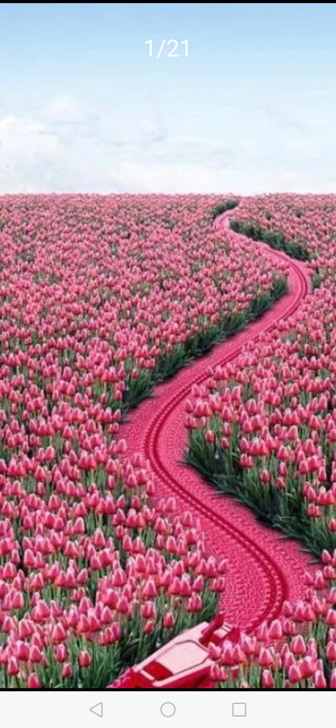 河南哪个城市房子好