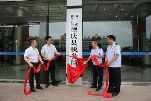 推动税收信息化建设，地方税务局助力数字经济时代发展，税收信息化建设新思路