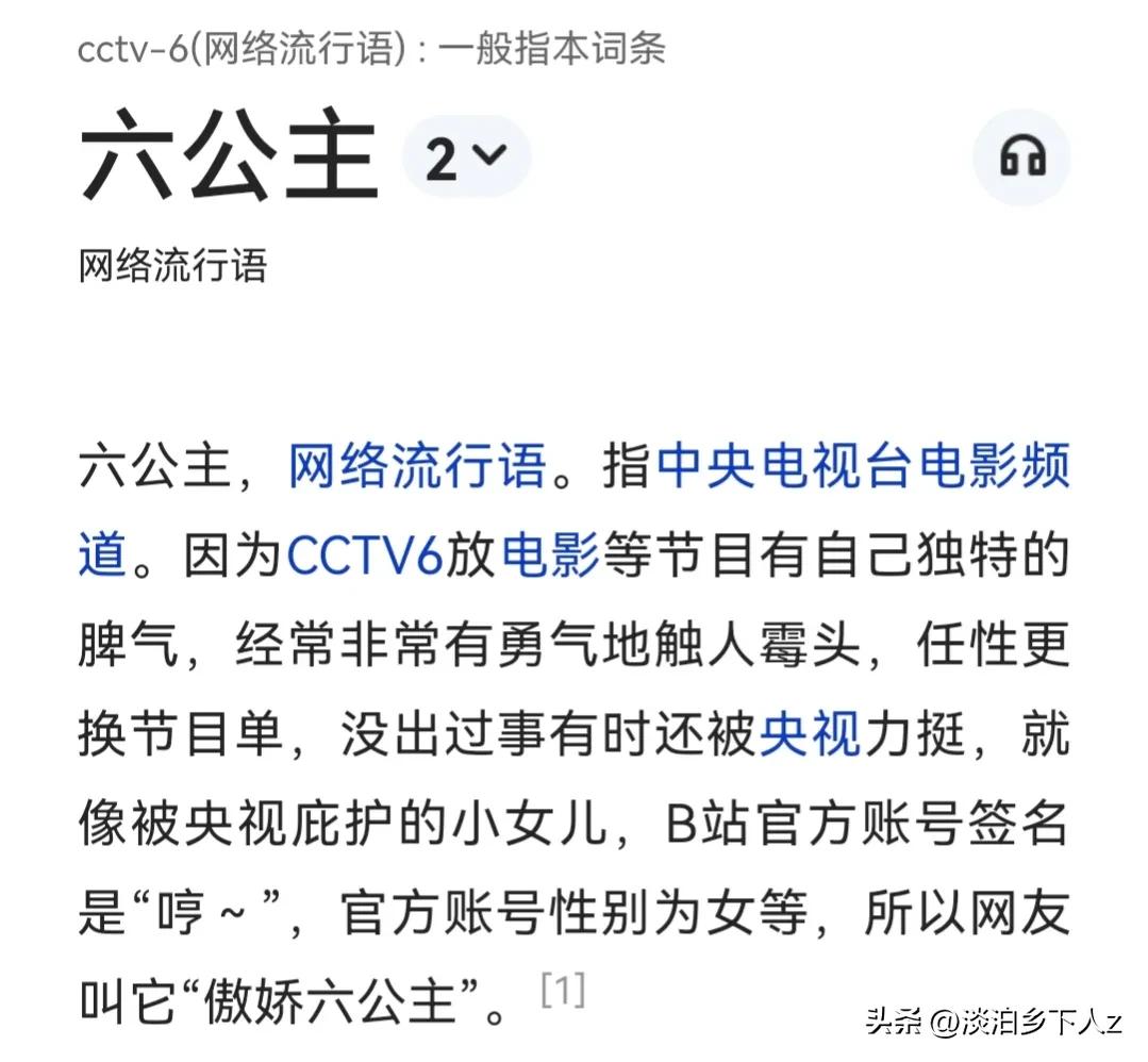 [6公主]cctv6六公主介绍？