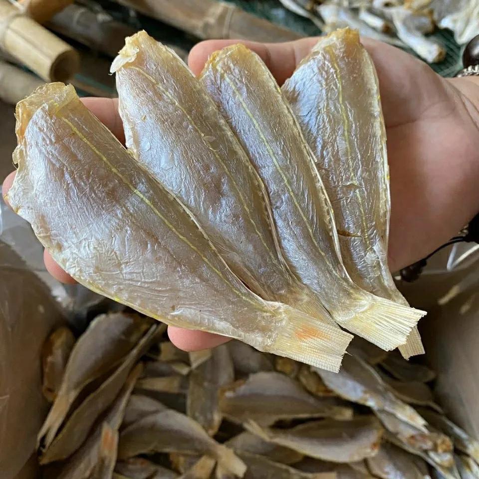 大连市钓扒皮鱼用什么钩