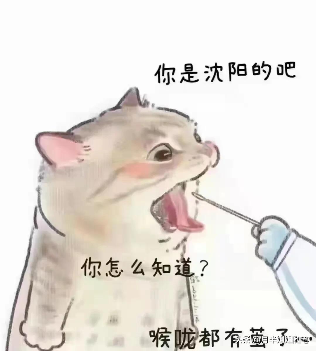 沈阳市现在的疫情怎么样 沈阳市现在的疫情怎么样