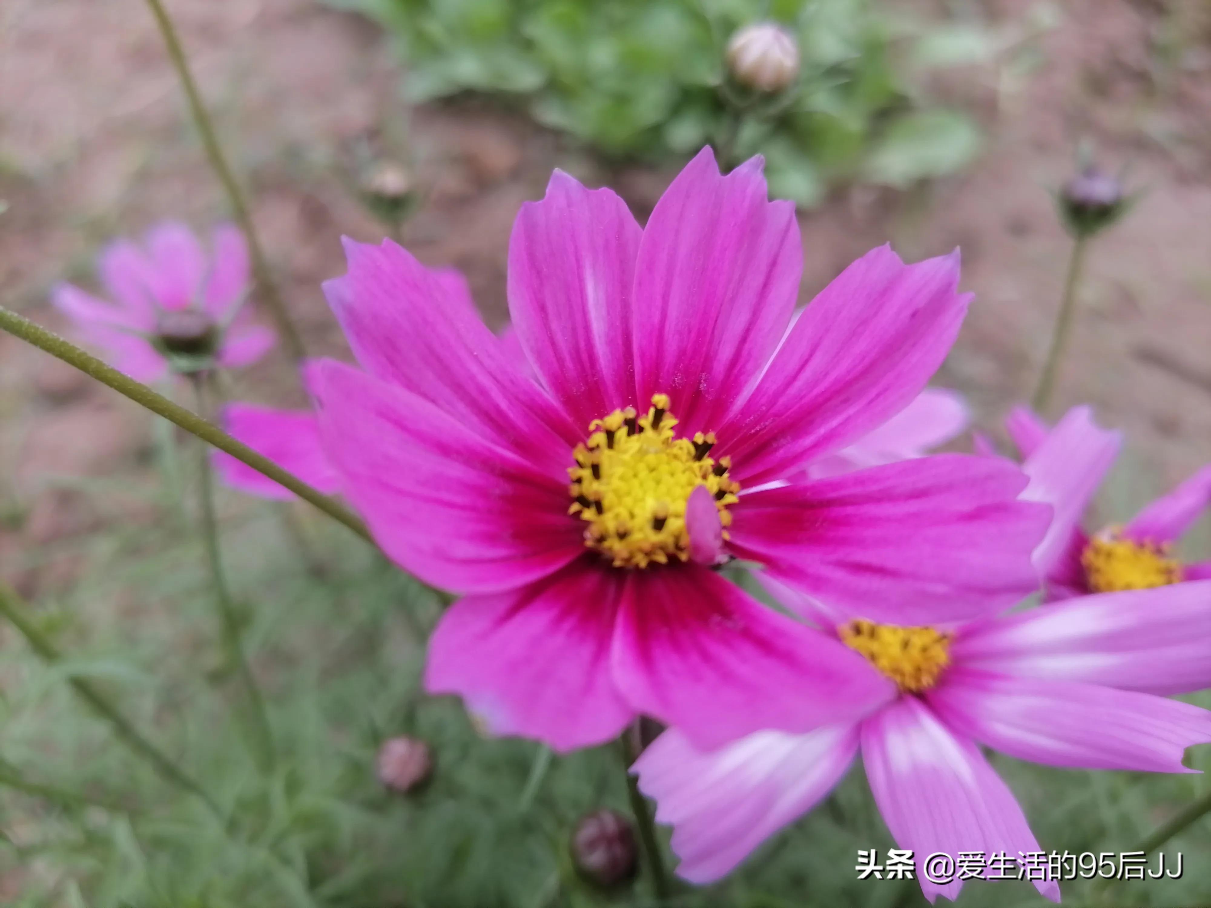 难得遇见（难得遇到一次是什么意思？）