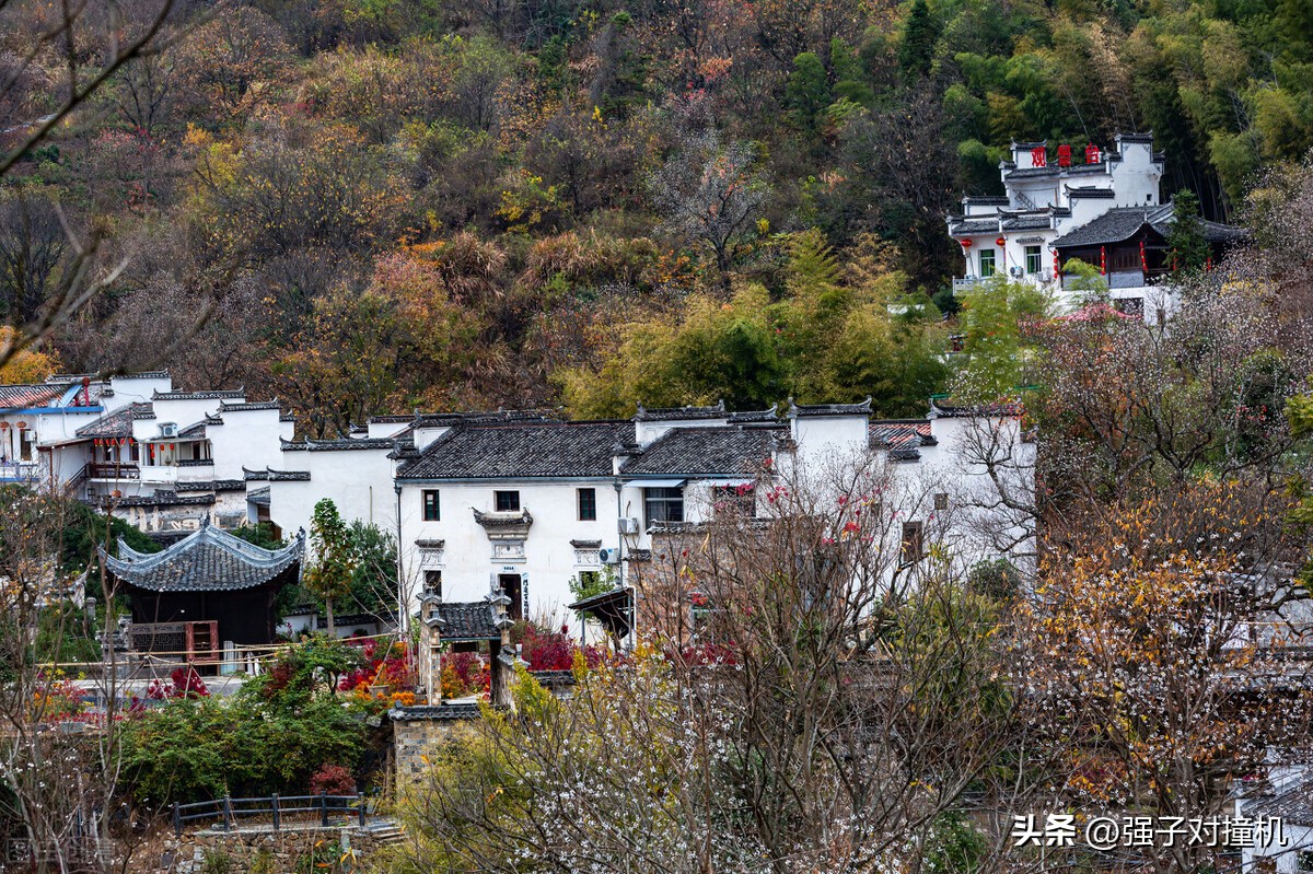 合肥市今年有什么大项目