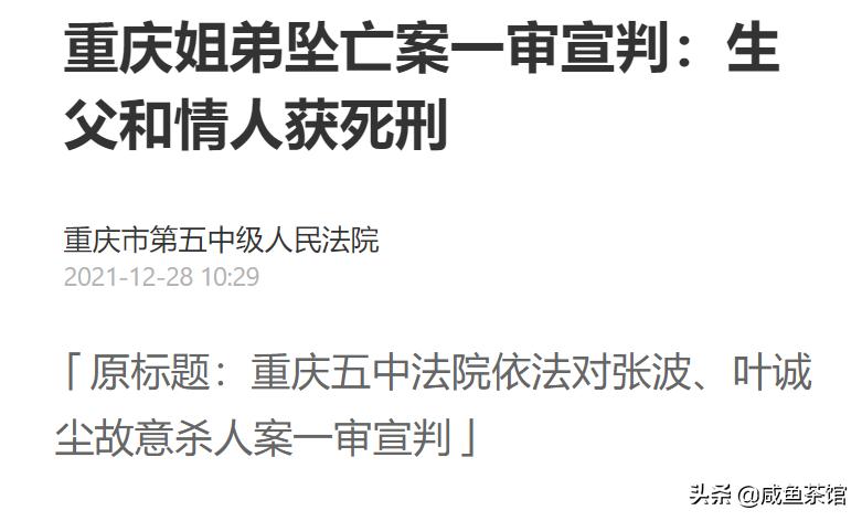 姐弟坠亡案房产拍卖（姐弟坠楼小孩母亲有责任吗？）
