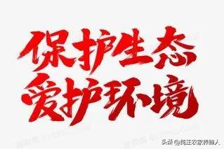 河南历史最高气温多少？