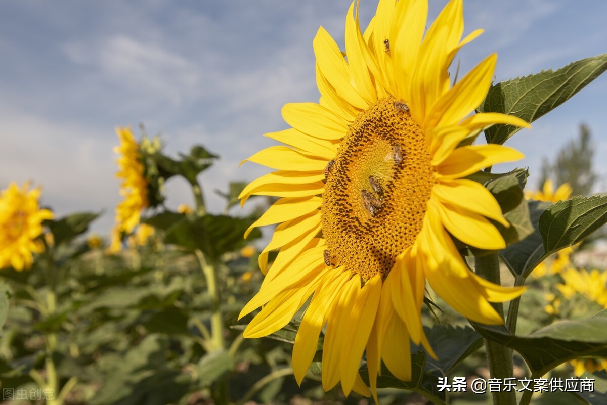 开发色情app多少钱
