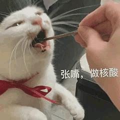 广州市新增疫情多少例了
