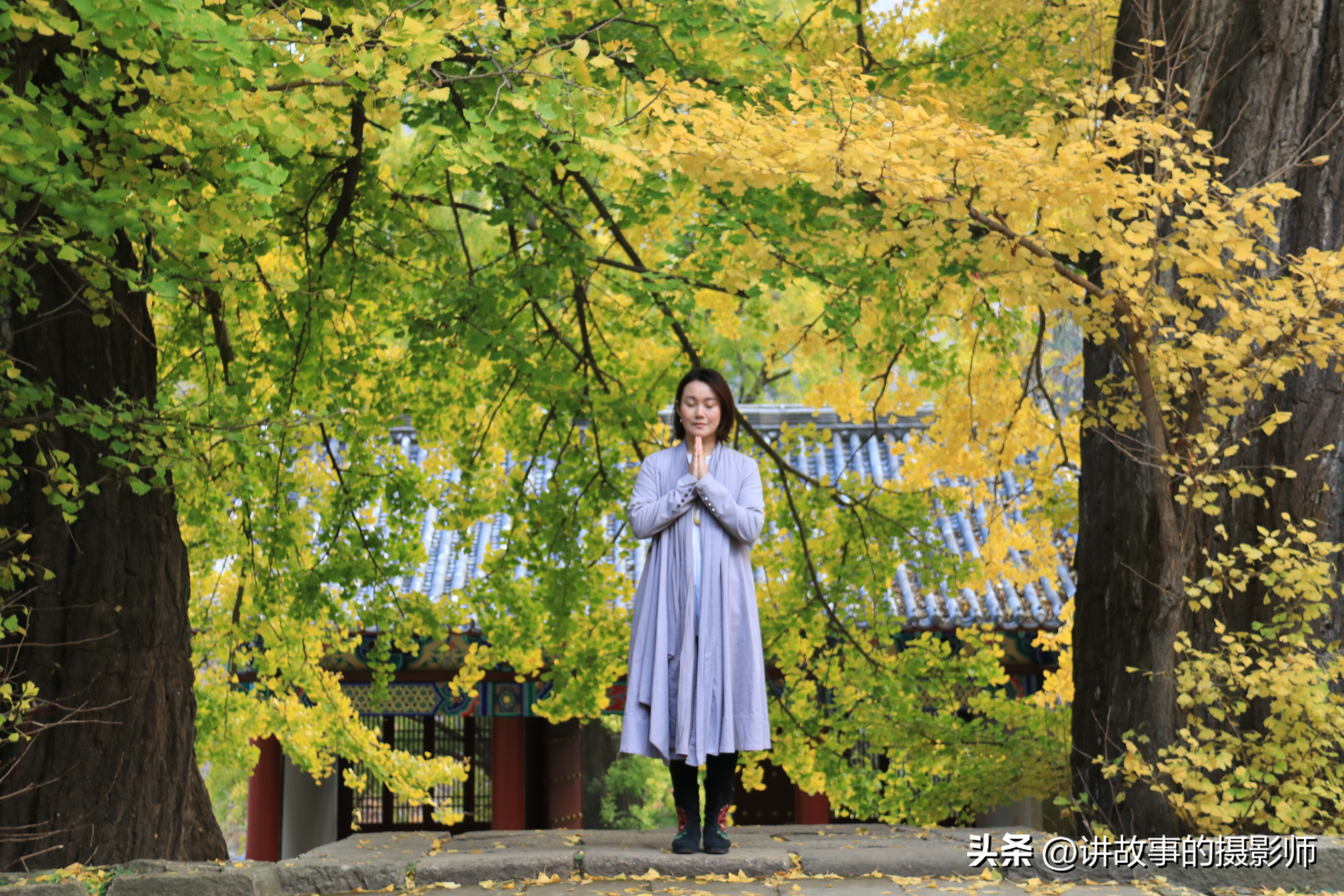 便携相机便携相机排行榜前十名