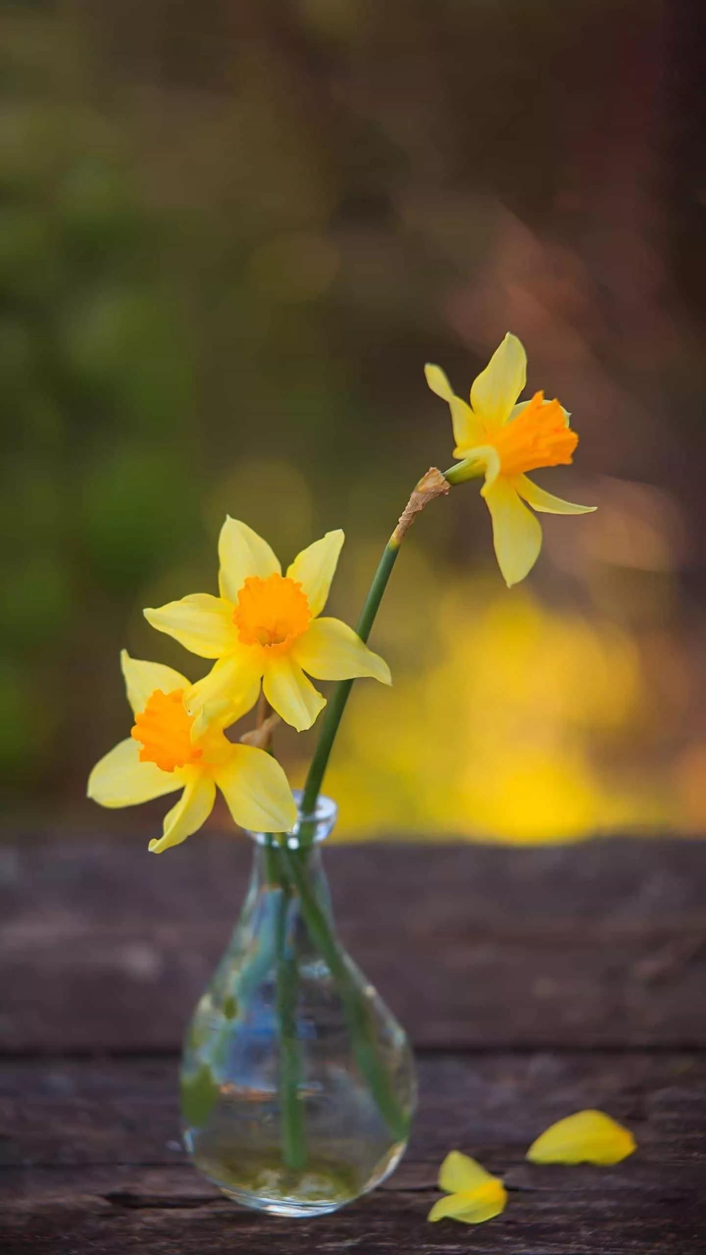 过年朋友圈（新年朋友圈什么时候发？）