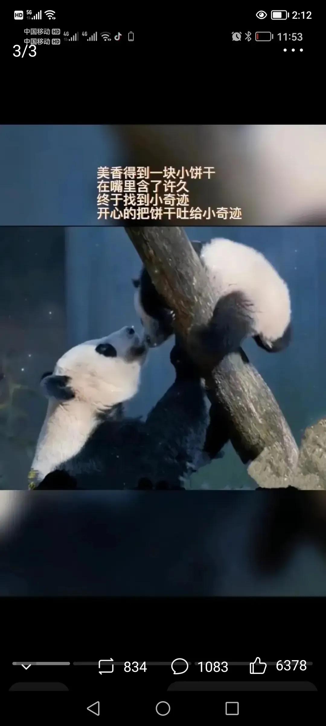 熊猫美香海外生活，熊猫美香在美国