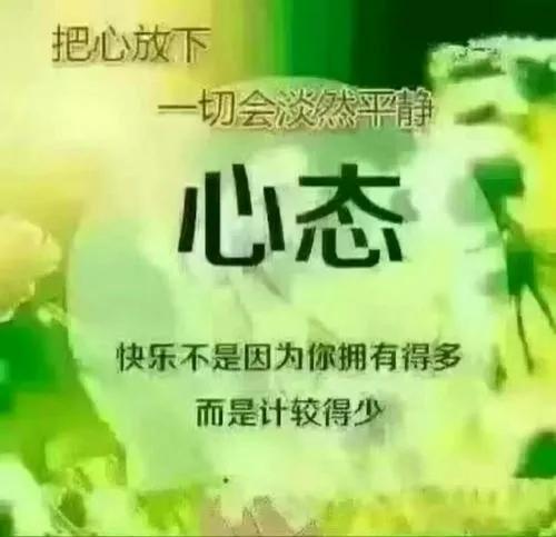 [qq秒赞]秒赞是什么？