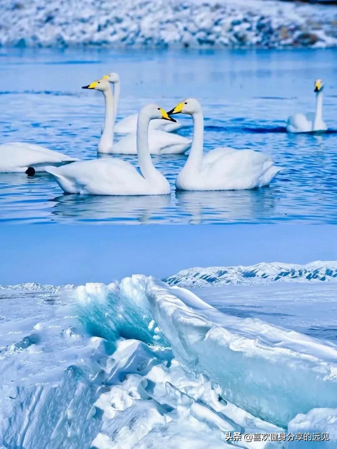 火图片(火鲛是角鲨吗?) 火图片(火鲛是角鲨吗?)