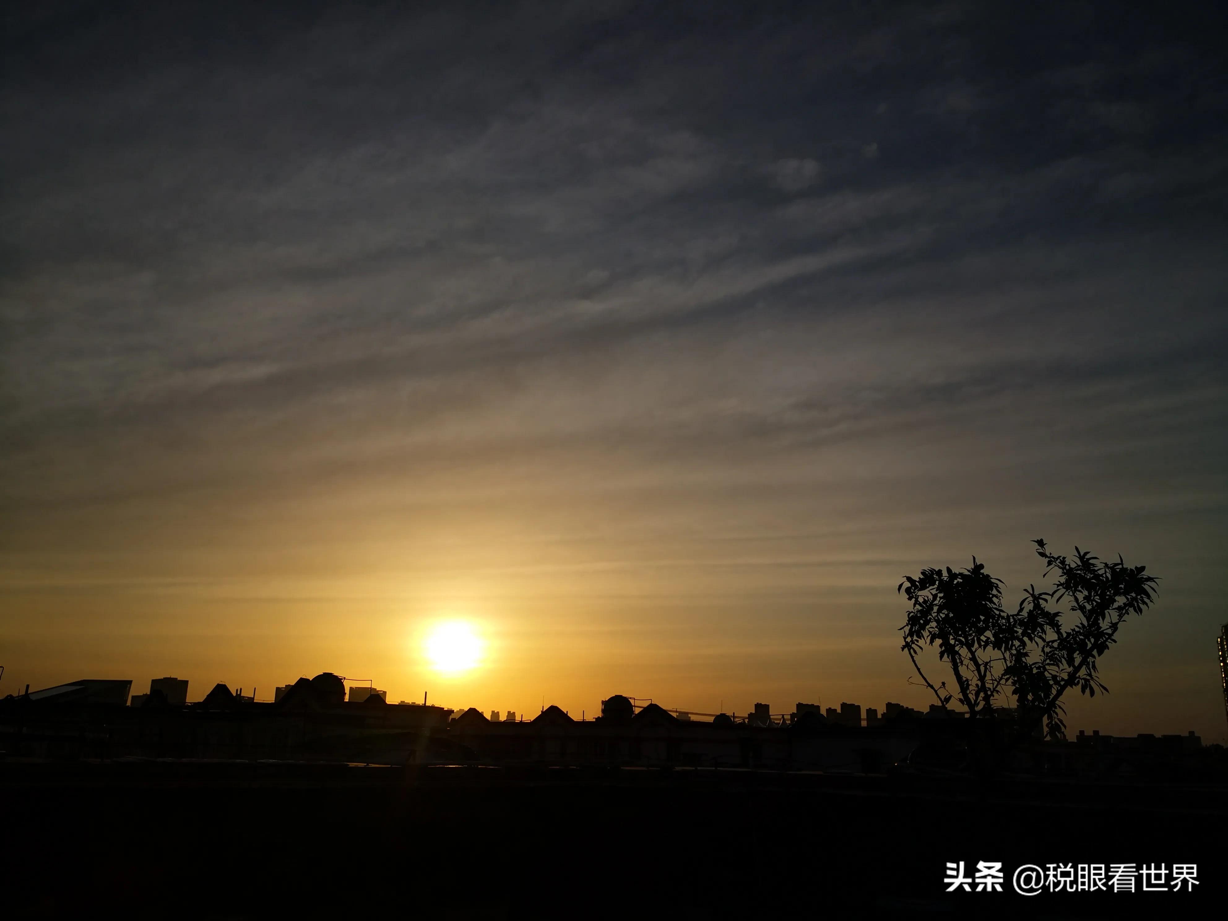税务师协会：推动税收征管体制改革的关键力量，推进税收征管体制改革