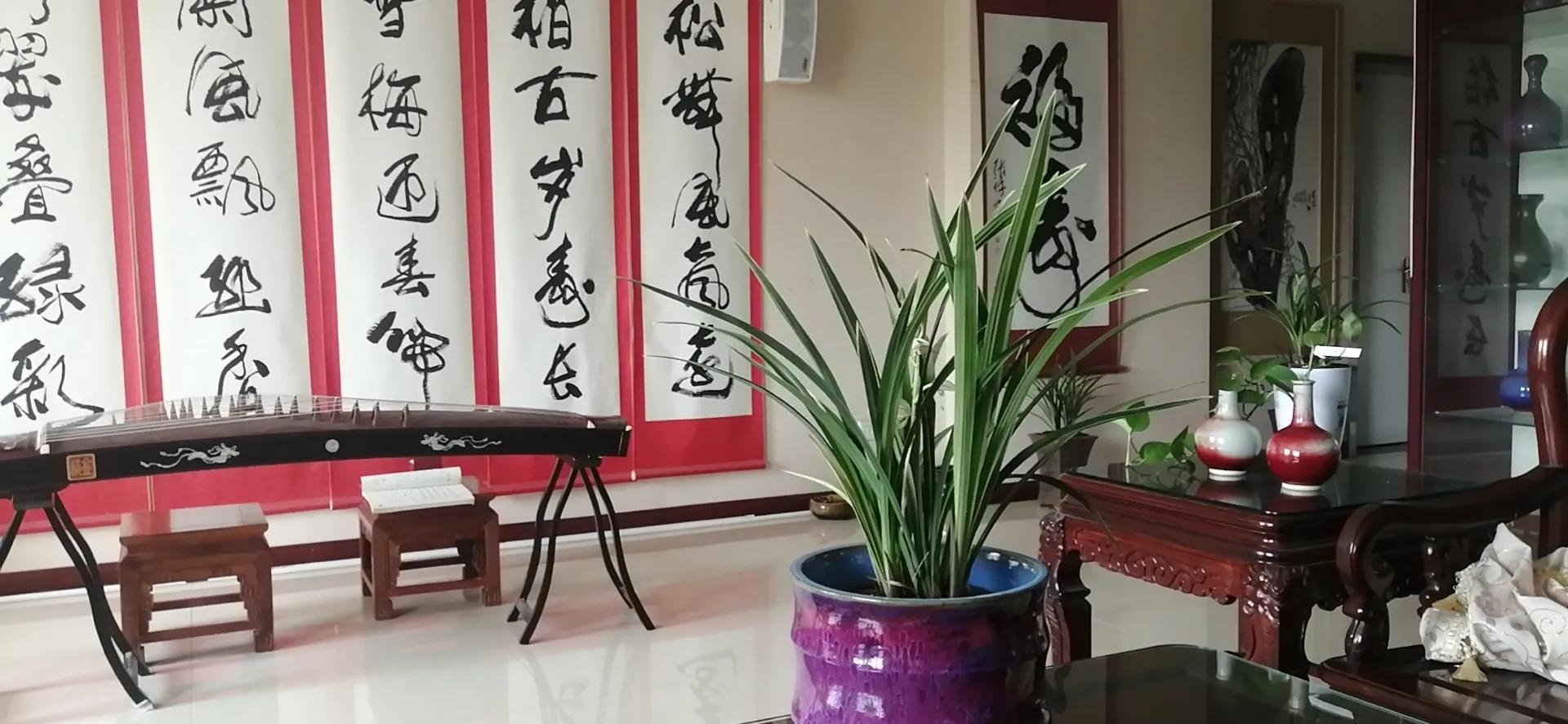 河南哪个城市房子好 河南哪个城市房子好