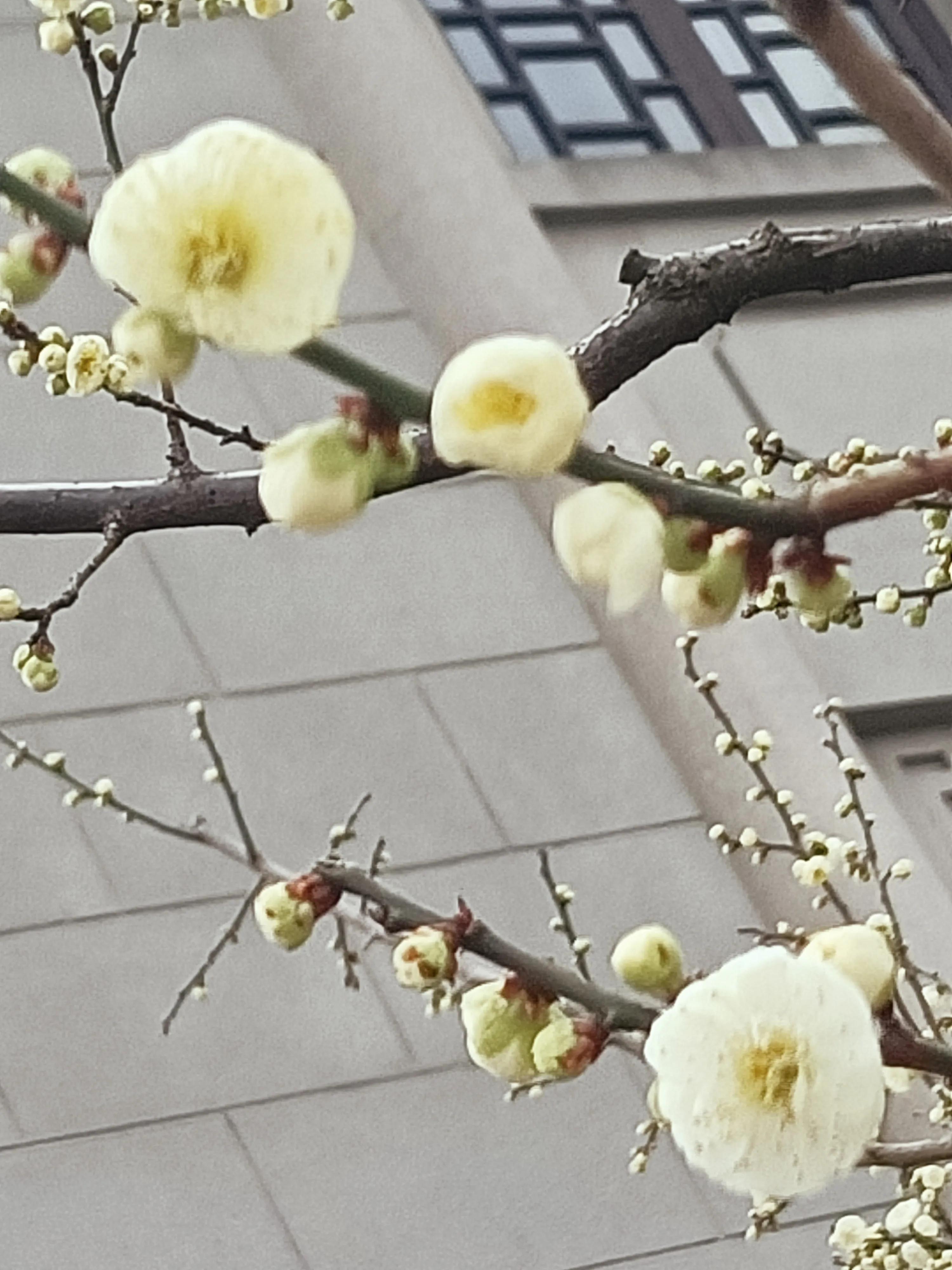 杭州的最高气温是多少度？最低气温是多少度？