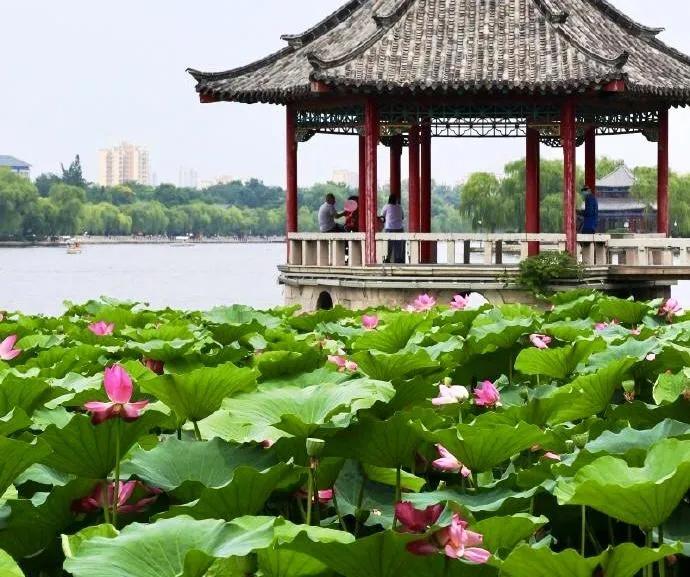 三伏天为什么越来越热？：三伏天会更热吗