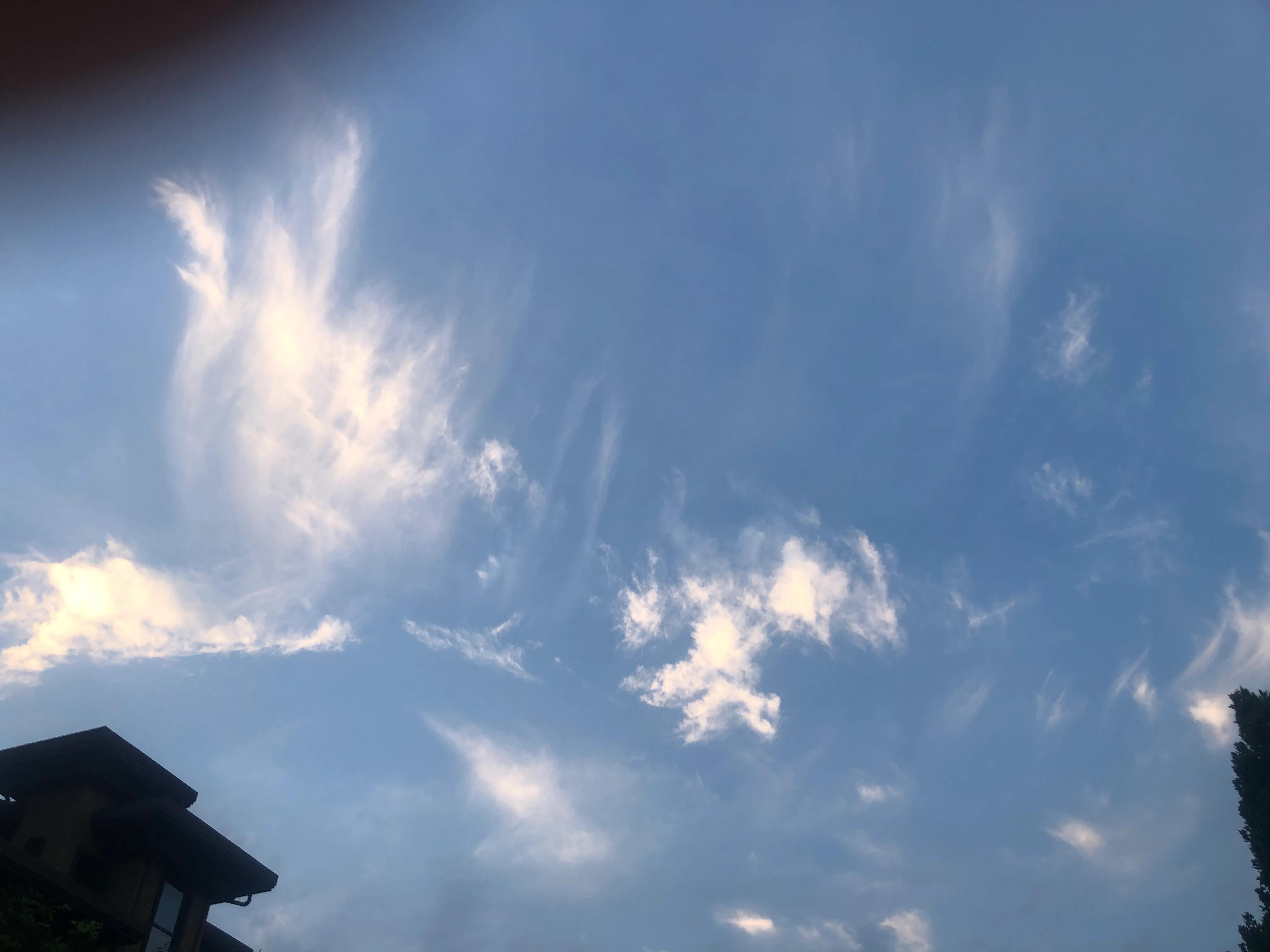 [北京非必要不外出]一直在家未外出，为啥会收到疫情防控指挥部短信？