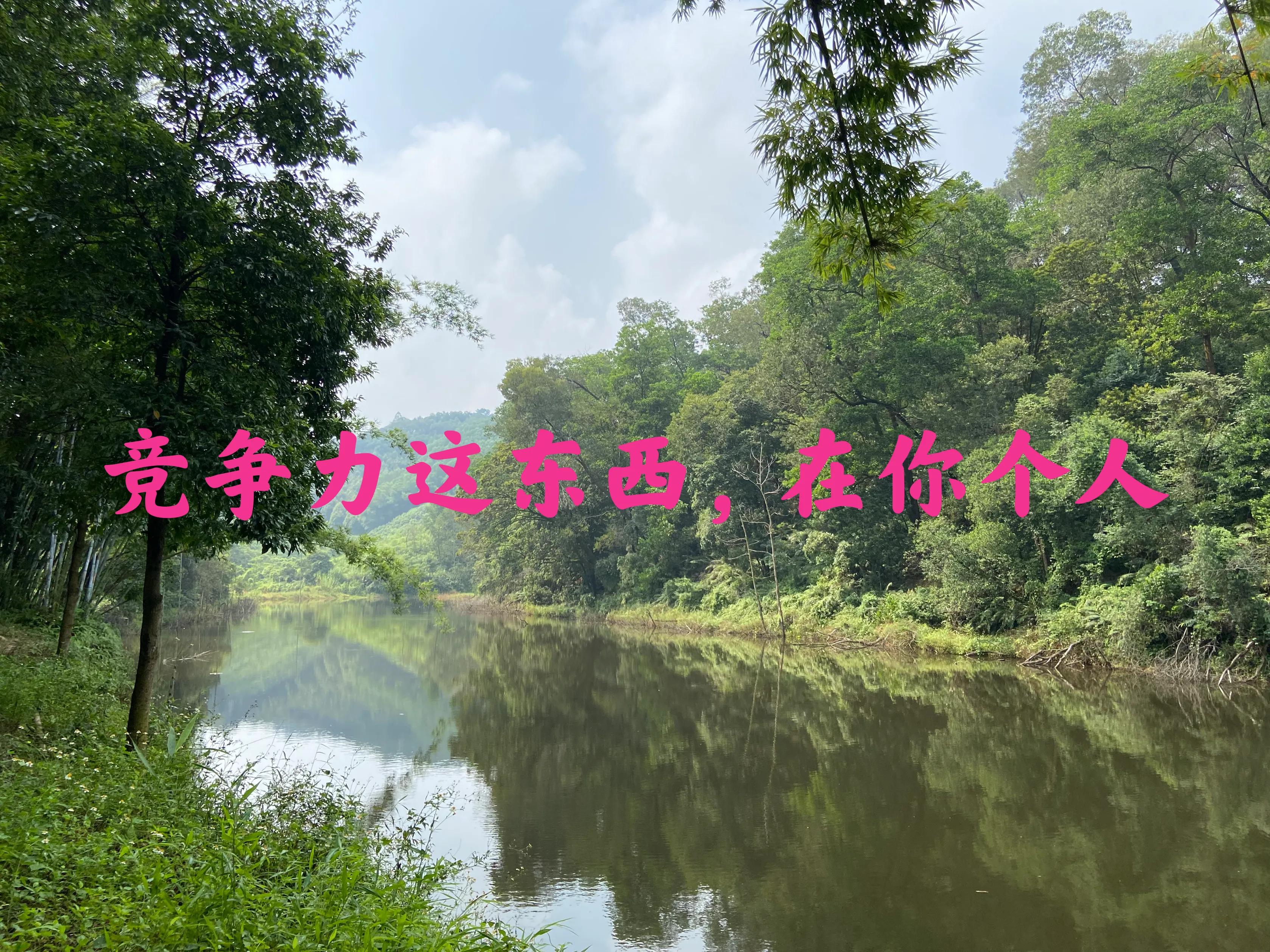 无学历海外生活好吗，无学历海外生活好吗知乎