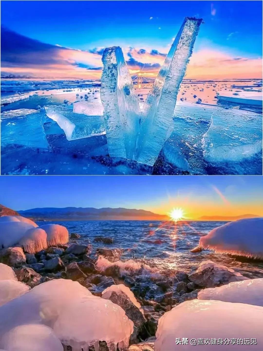 火图片（火鲛是角鲨吗？）