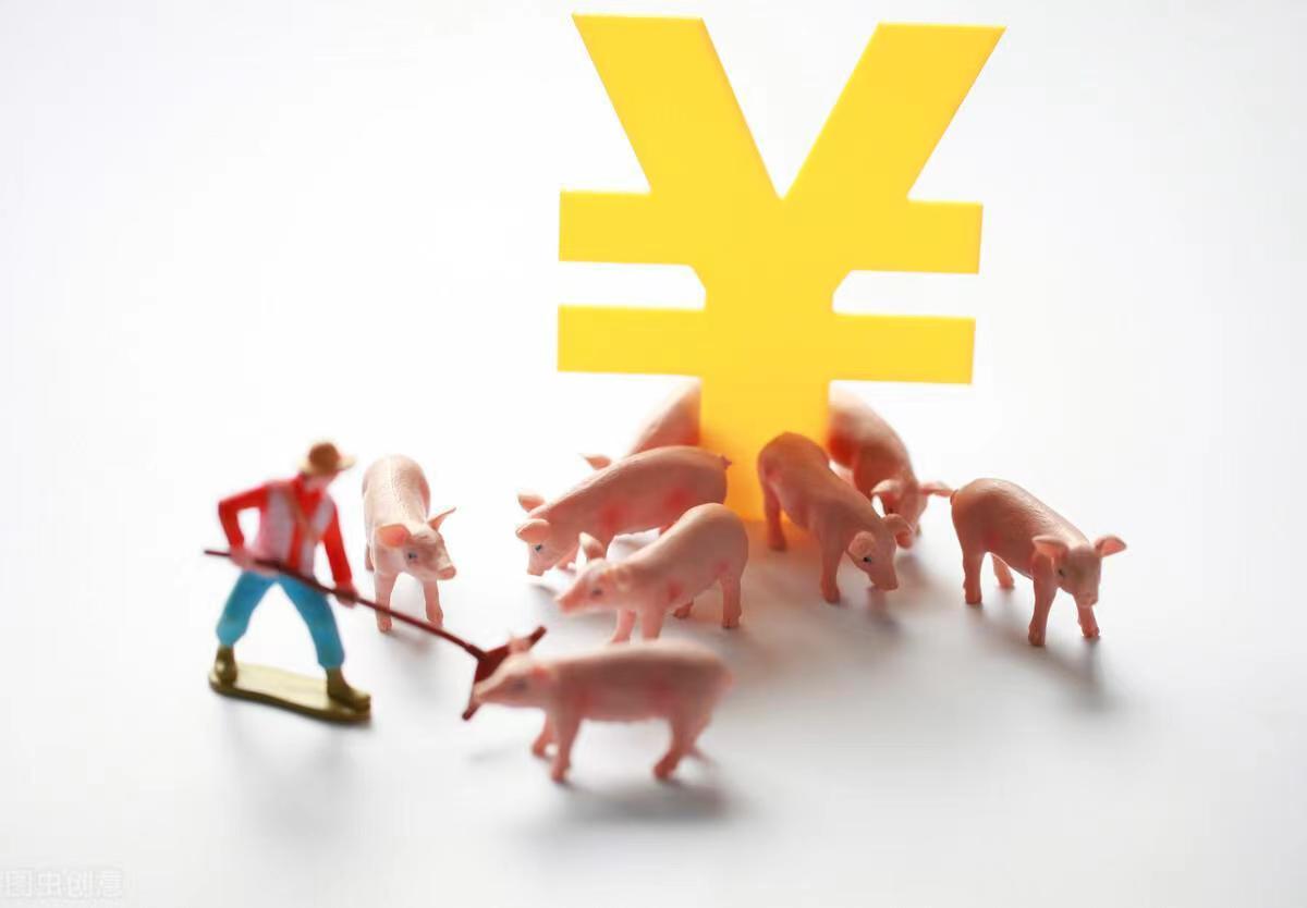 新春汽车报价,新春汽车报价图片