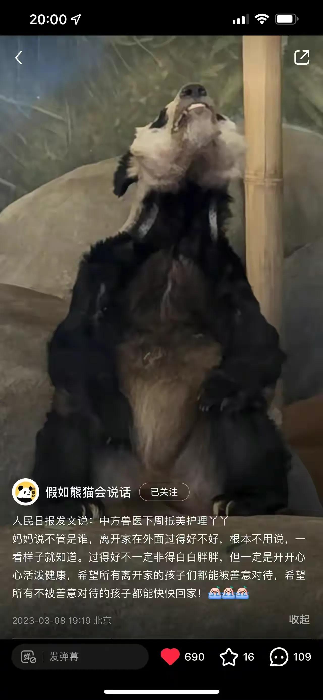 今晚澳门特马开奖结果和造谣熊猫受虐圈20万与造谣熊猫受虐圈20万是真的吗