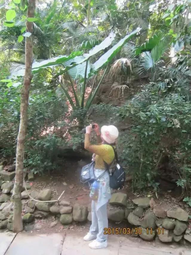 旅行被困高速18小时（旅游堵在高速公路上，七八个小时，女的尿急，如何处理最妥当？）