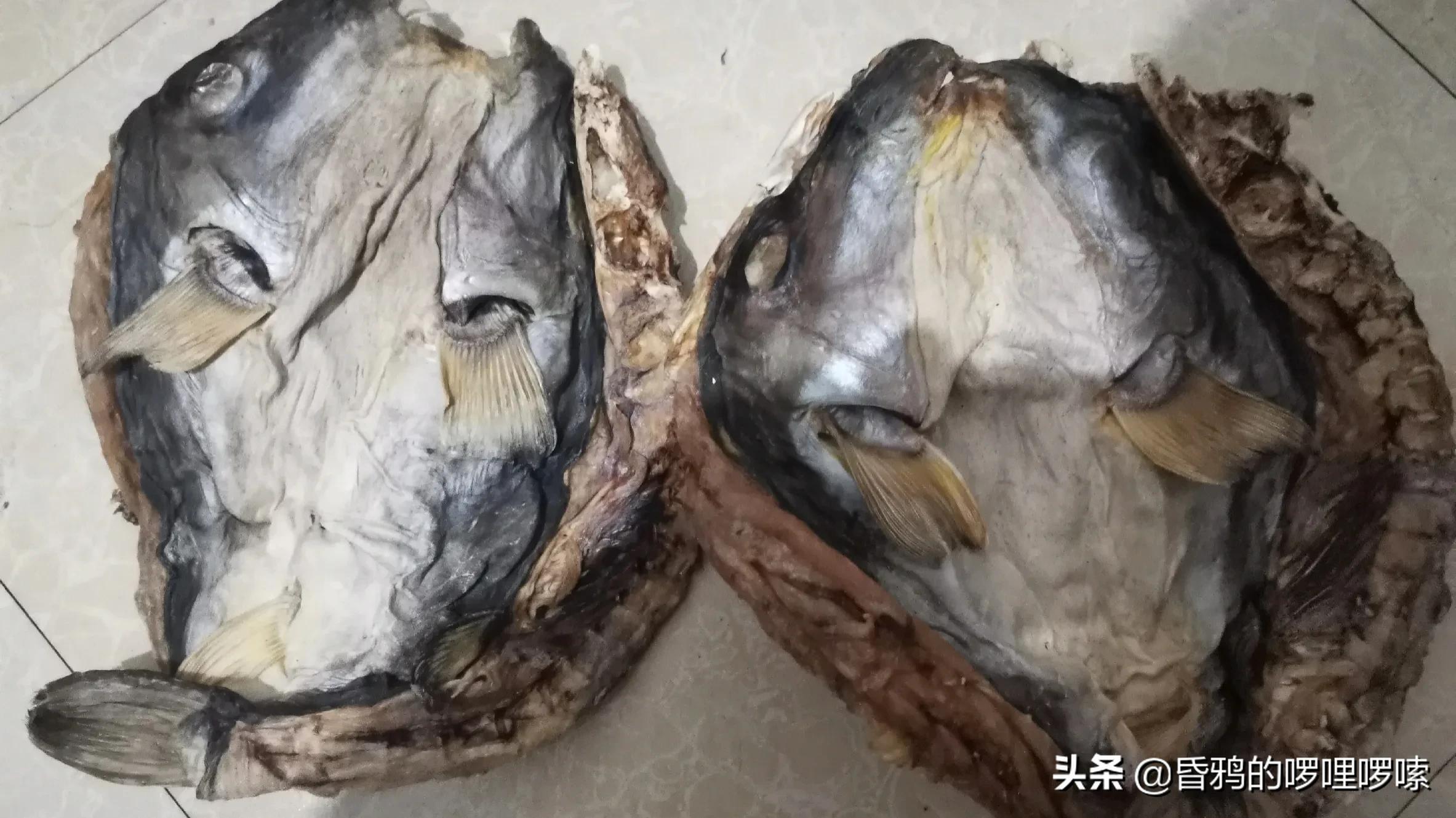 宁波市海鲜有什么