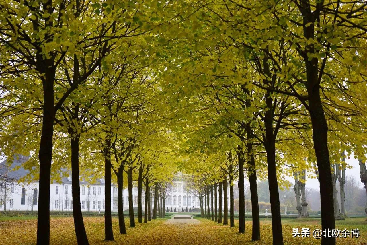 海外生活日常中餐，海外生活日常中餐怎么做