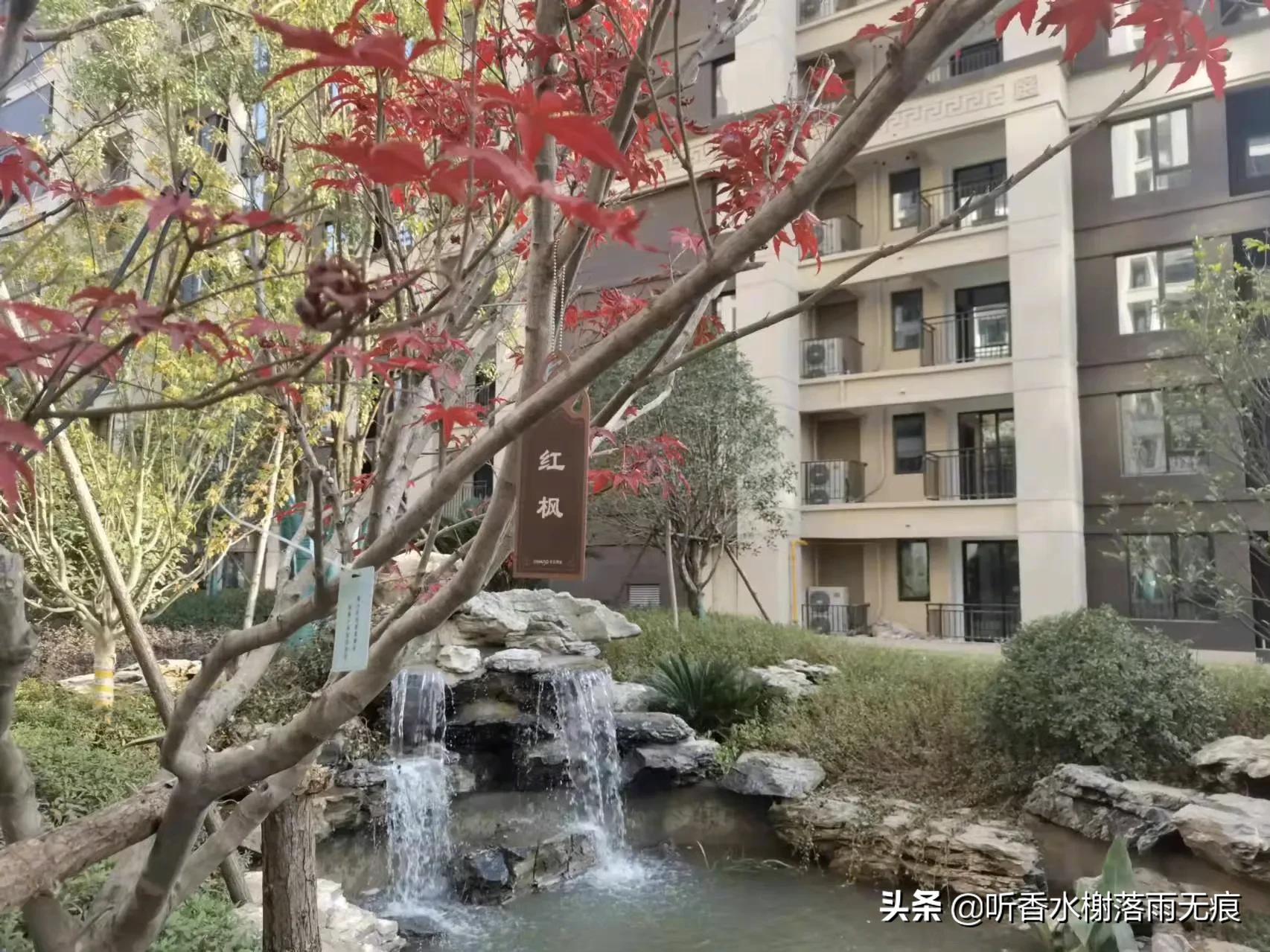 沈阳11月11日还停课吗？