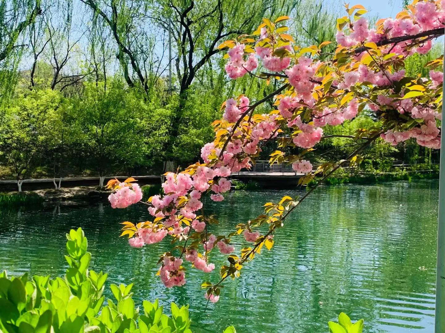 社交化妆技巧培训课程
