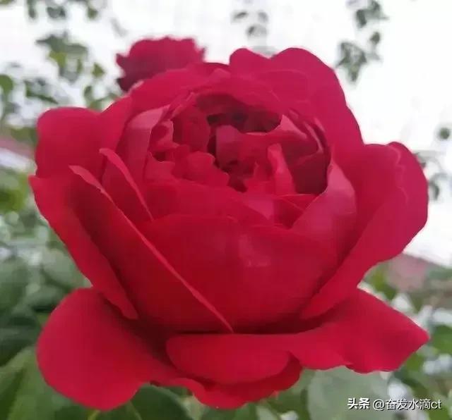 学习校园疫情防控知识，校园疫情防控知识培训