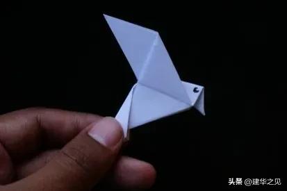[普京记者会中国风]为什么有人认为土耳其不愿公布卡舒吉谋杀案的 “赤裸裸的真相”？有何内幕？