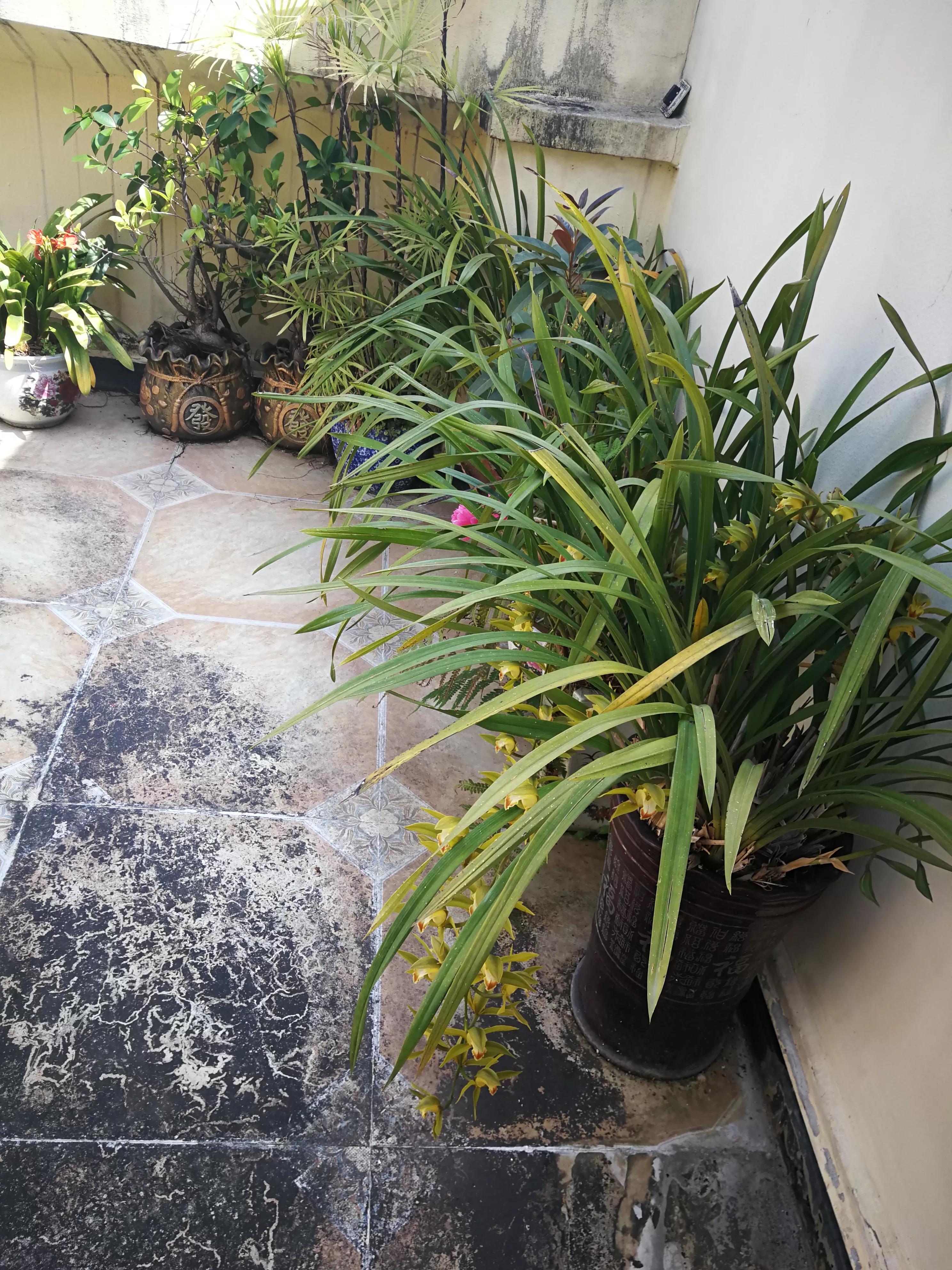 给药给药途径吸收快慢顺序