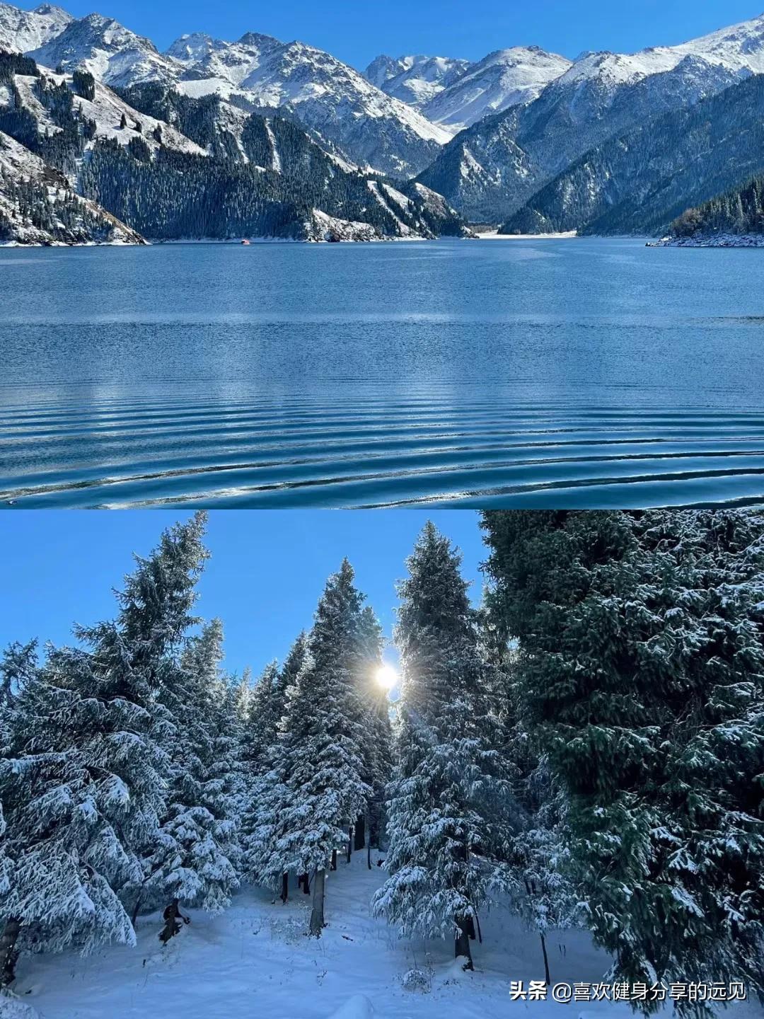 火图片（火鲛是角鲨吗？）