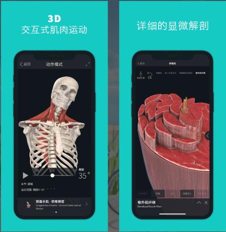 苹果自己开发的好用app