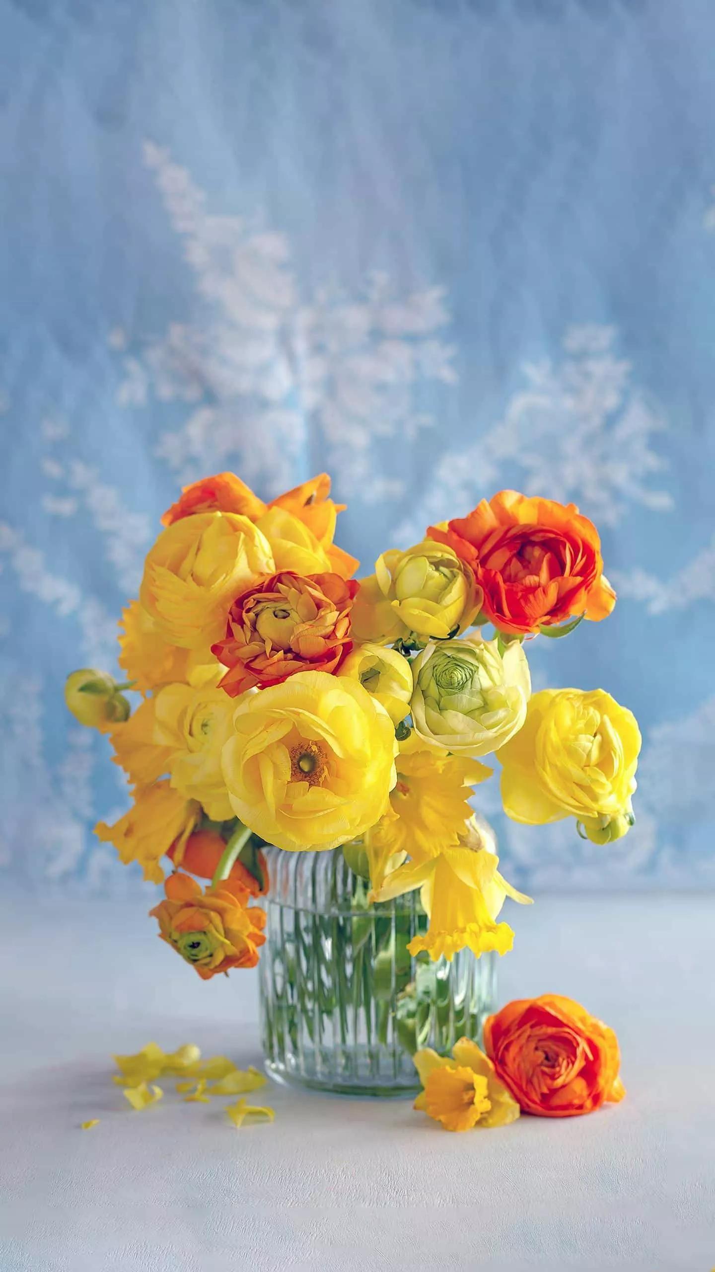 大佬素材视频素材网站下载,很多大佬写文章都会放很多故事,他们的故事素材是哪里找的呢?