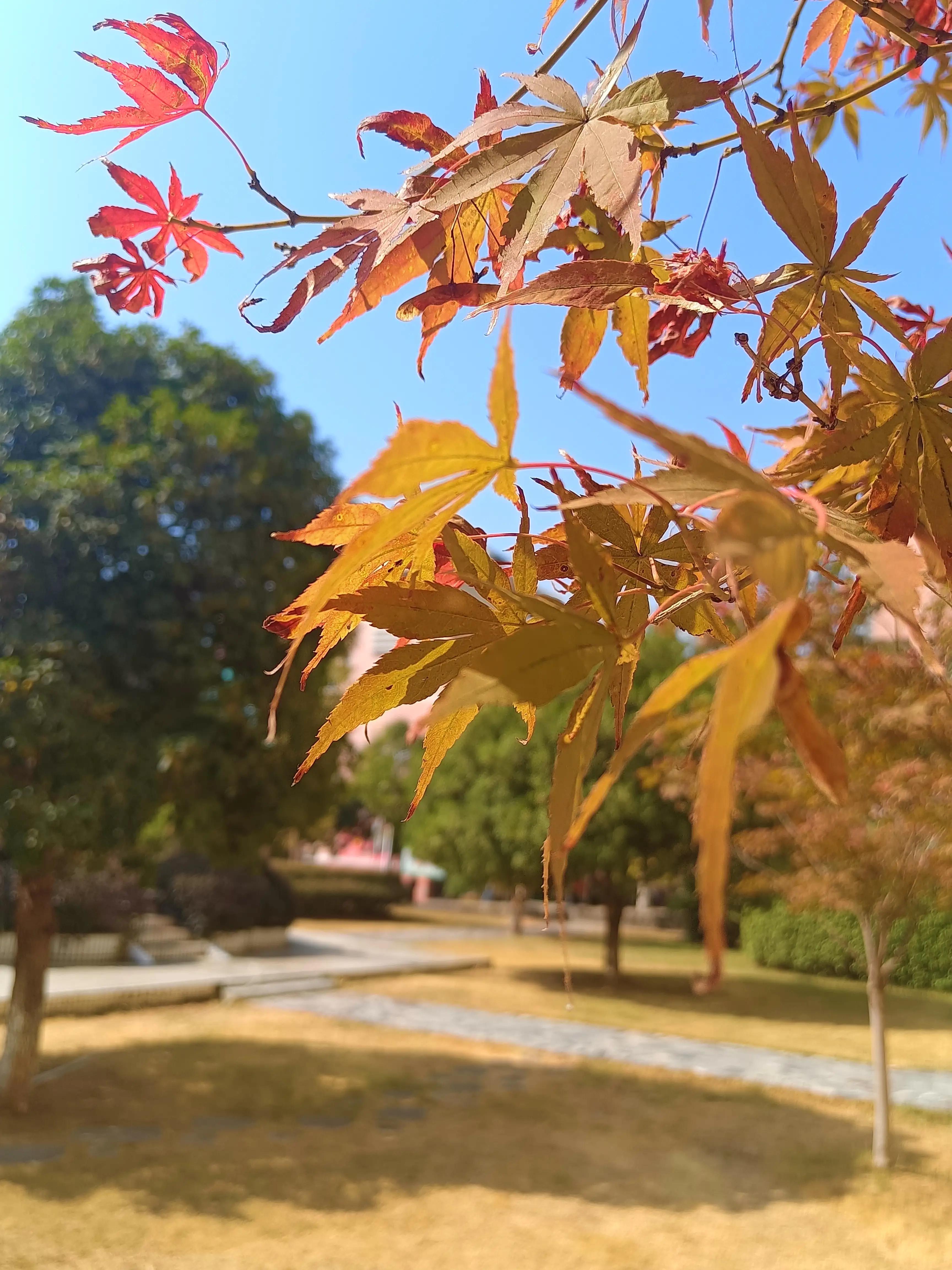 化学基础好不好学的知识，化学基础好不好学的知识有哪些